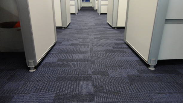New carpet installation Warren Michigan